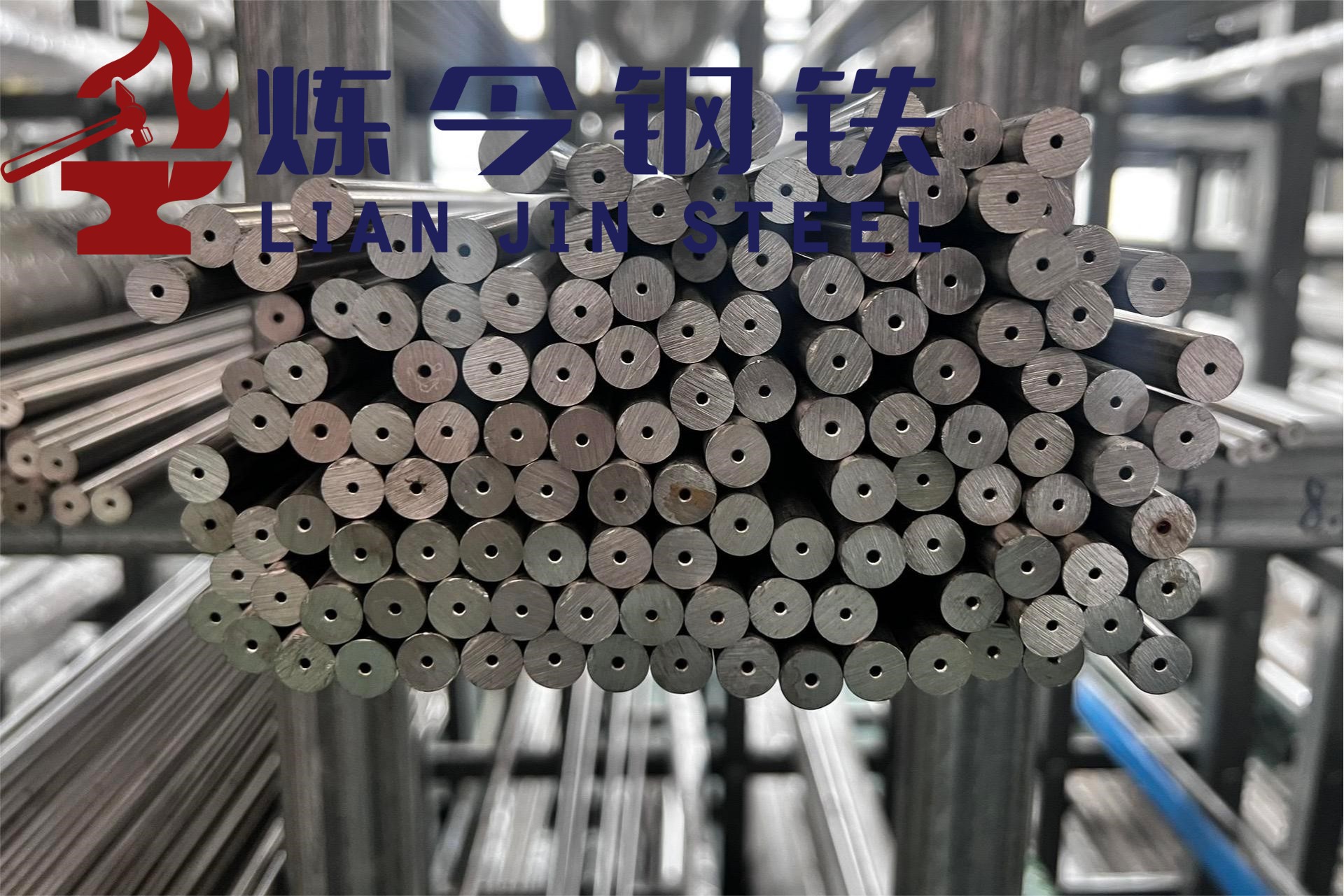 1769412162465085.jpg vbhddlcvxc.jpg